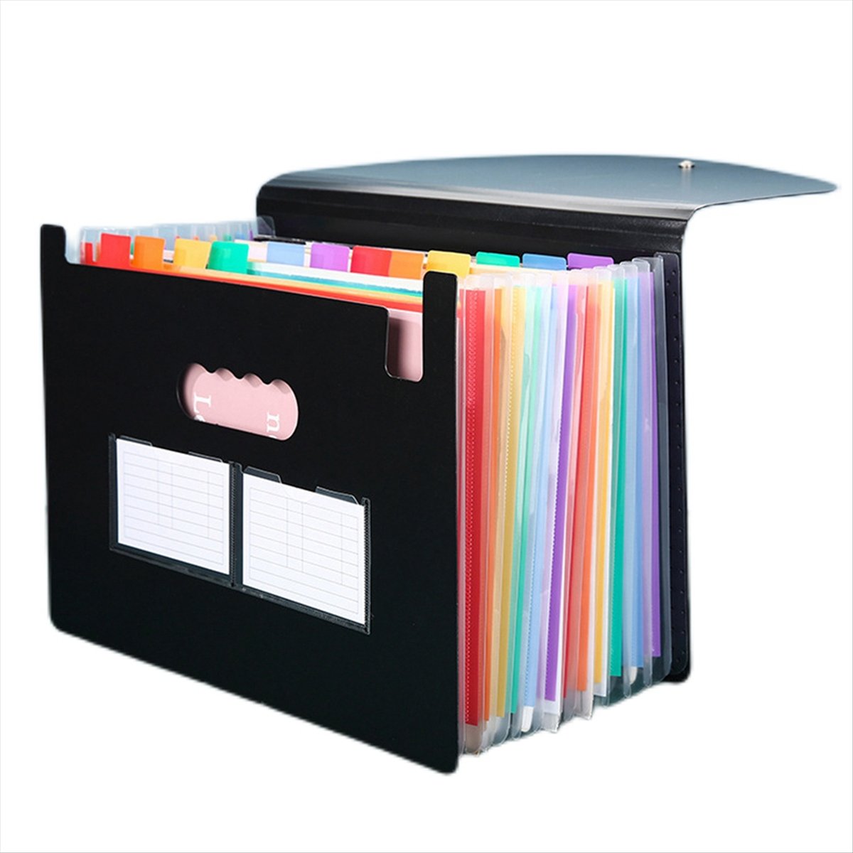 AT16 Cartella Espandibile a 13 - Expandable Accordion File Folder 13 Pockets recensione e prezzo
