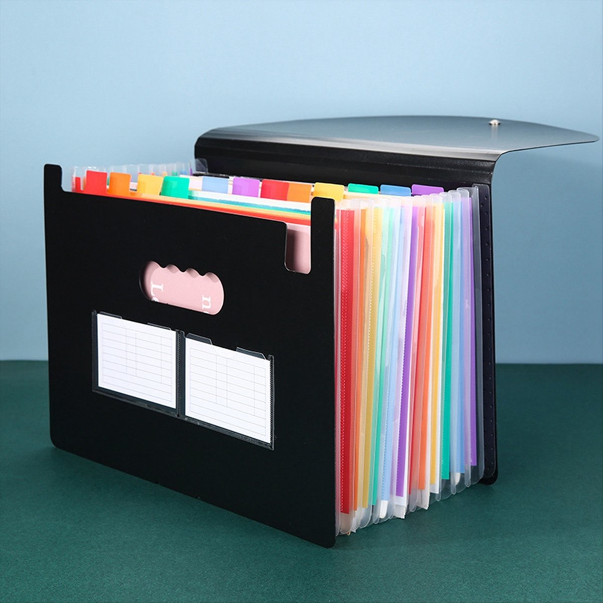 AT16 Cartella Espandibile a 13 - Expandable Accordion File Folder 13 Pockets recensione e prezzo