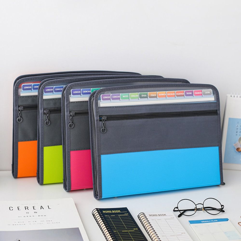 Organizzatore di Documenti Esp - Expandable Accordion File Folder 13 Pockets recensione e prezzo