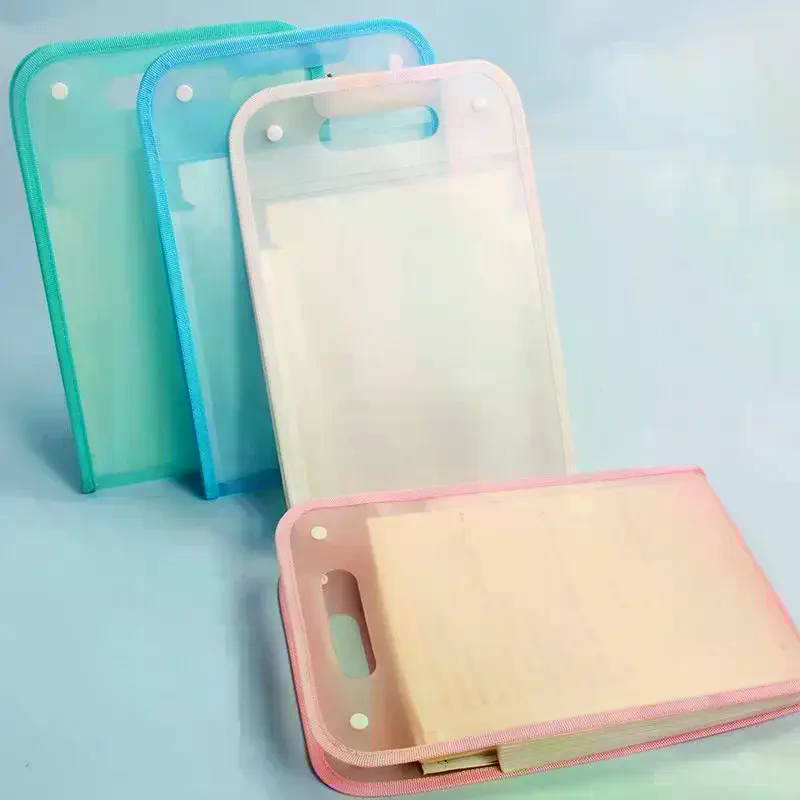 Cartella Portadocumenti Espand - Expandable Accordion File Folder 13 Pockets recensione e prezzo