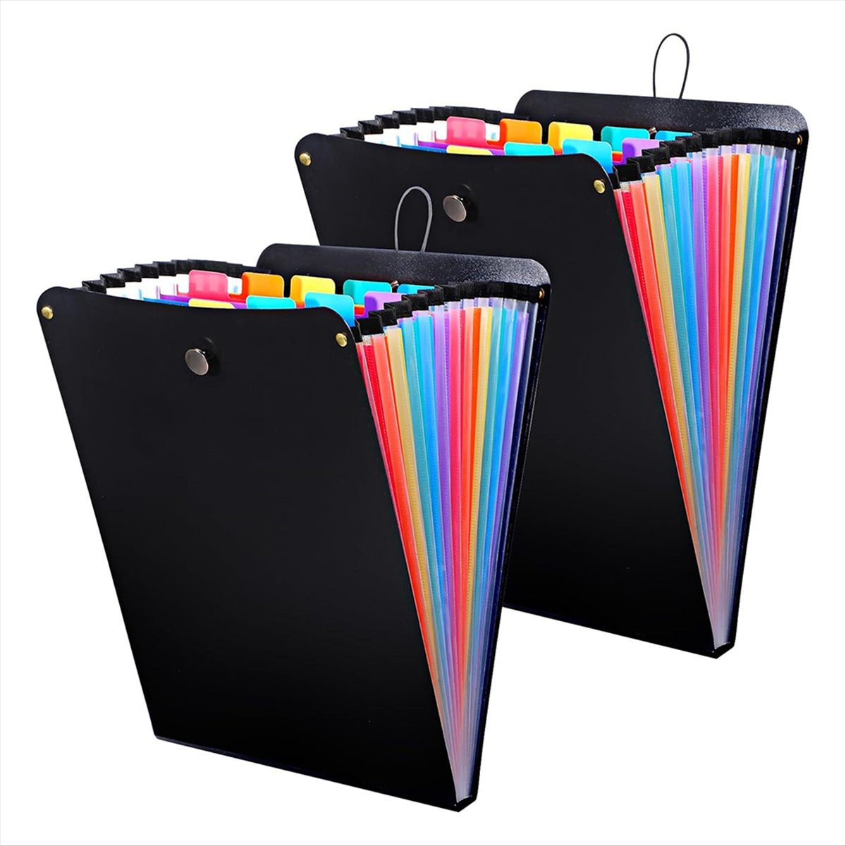 ABPP 2 Pezzi Cartella Portadoc - Expandable Accordion File Folder 13 Pockets recensione e prezzo