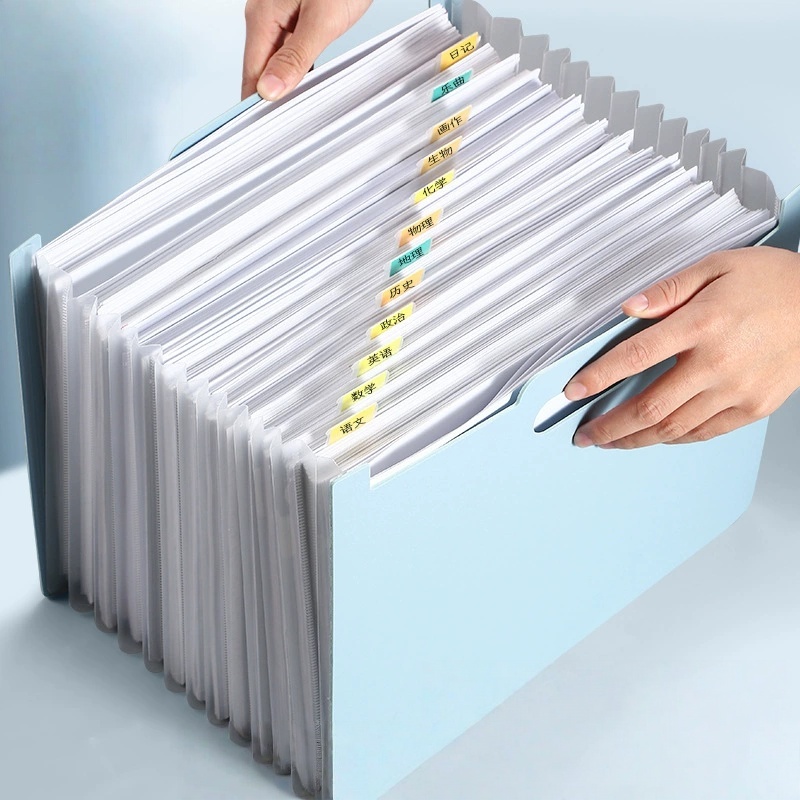 Organizzatore di documenti a f - Expandable Accordion File Folder 13 Pockets recensione e prezzo