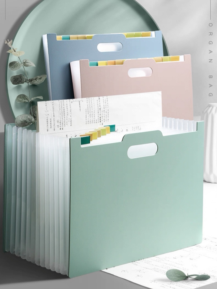 Organizzatore di documenti a f - Expandable Accordion File Folder 13 Pockets recensione e prezzo